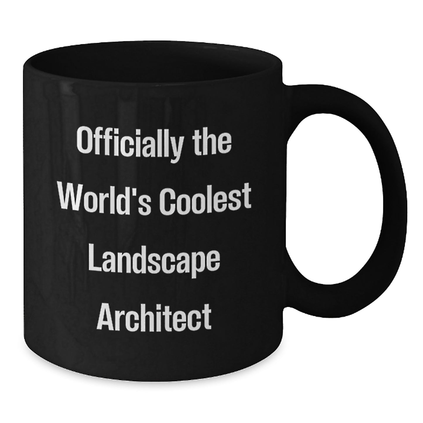 Funny Landscape Architect Quotes Gifts from Friends and Family for Christmas Unique Black Coffee Mugs for Men Women Colleagues - Additional