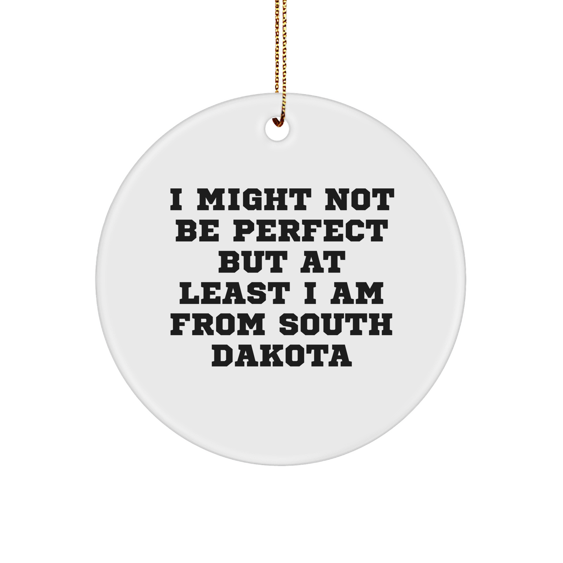 Funny South Dakota Gifts - 'I Might Not Be Perfect' Circle Ornament, Gifts from Men to Friends for Christmas - Image 1