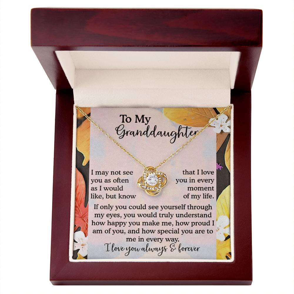 Granddaughter-In Every Way Necklace