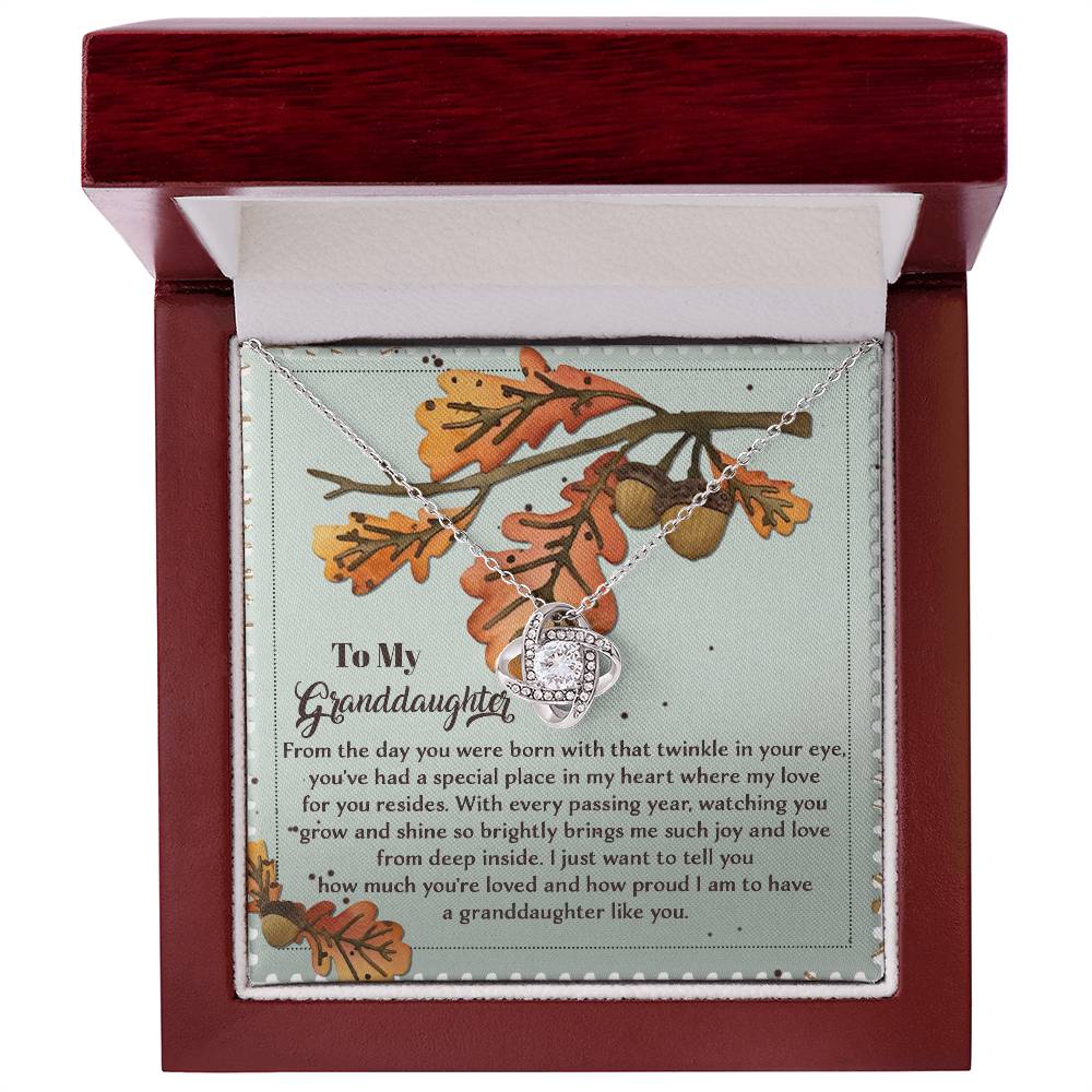 Granddaughter-From Deep Inside Necklace