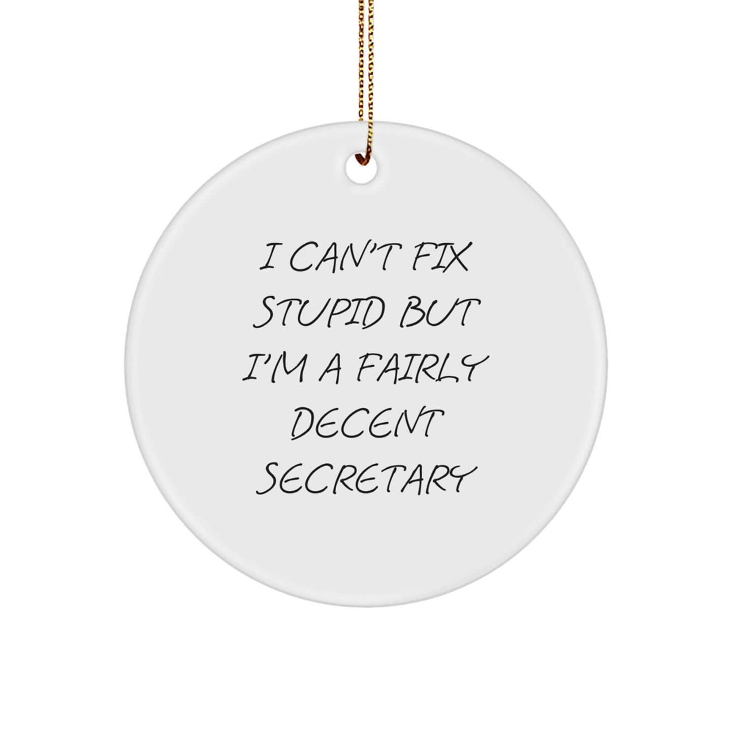 Funny Secretary Christmas Circle Ornament Gifts from Friends for Secretary Humor - Image 1