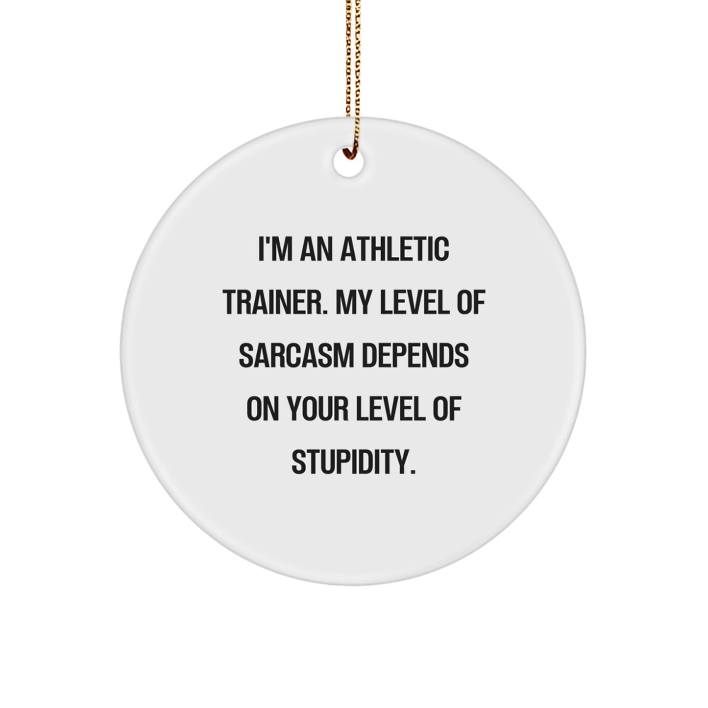 Funny Athletic Trainer Gifts for Men, Women, Friends, and Family - 'I'm An Athletic Trainer' Sarcasm Circle Ornament, Christmas Unique Decorations - Image 1