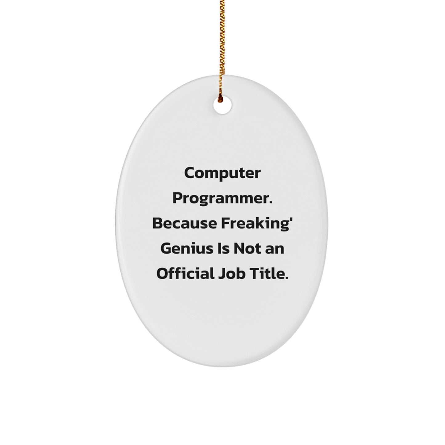 Funny Computer Programmer Oval Ornament, Gifts for Computer Programmer, Christmas Unique Gifts from Friends - Image 1