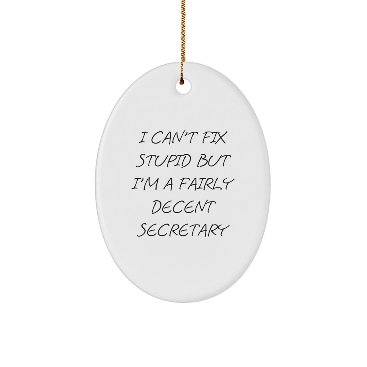 Funny Secretary Oval Ornament Gifts from Men for Women Friends Coworkers, I'm A Decent Secretary, Unique Christmas Unique Gifts - Image 1