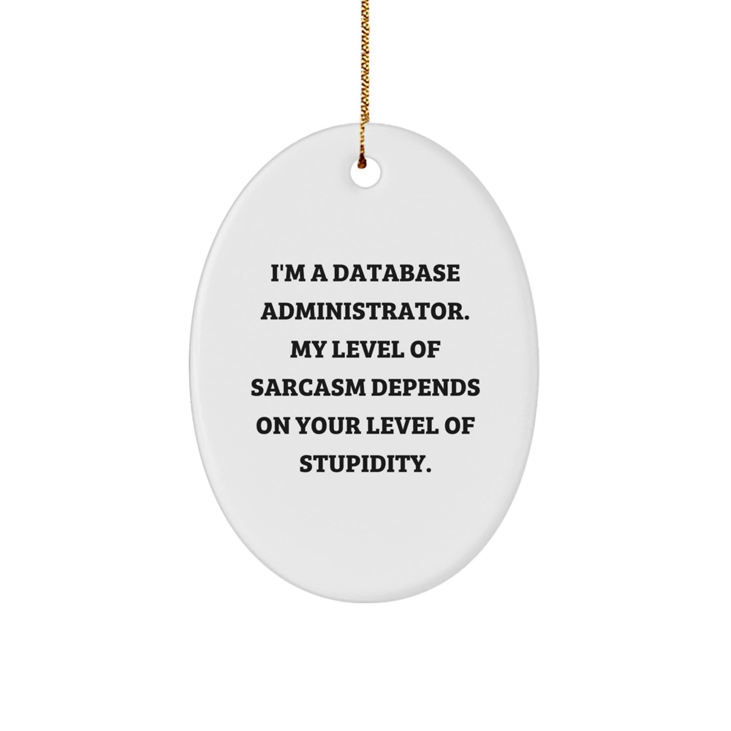 Funny Database Administrator Oval Ornament Gifts from Friends, Christmas Unique Decoration for Database Administrator, Men, Women, Coworkers, Family, and Colleagues - Image 1