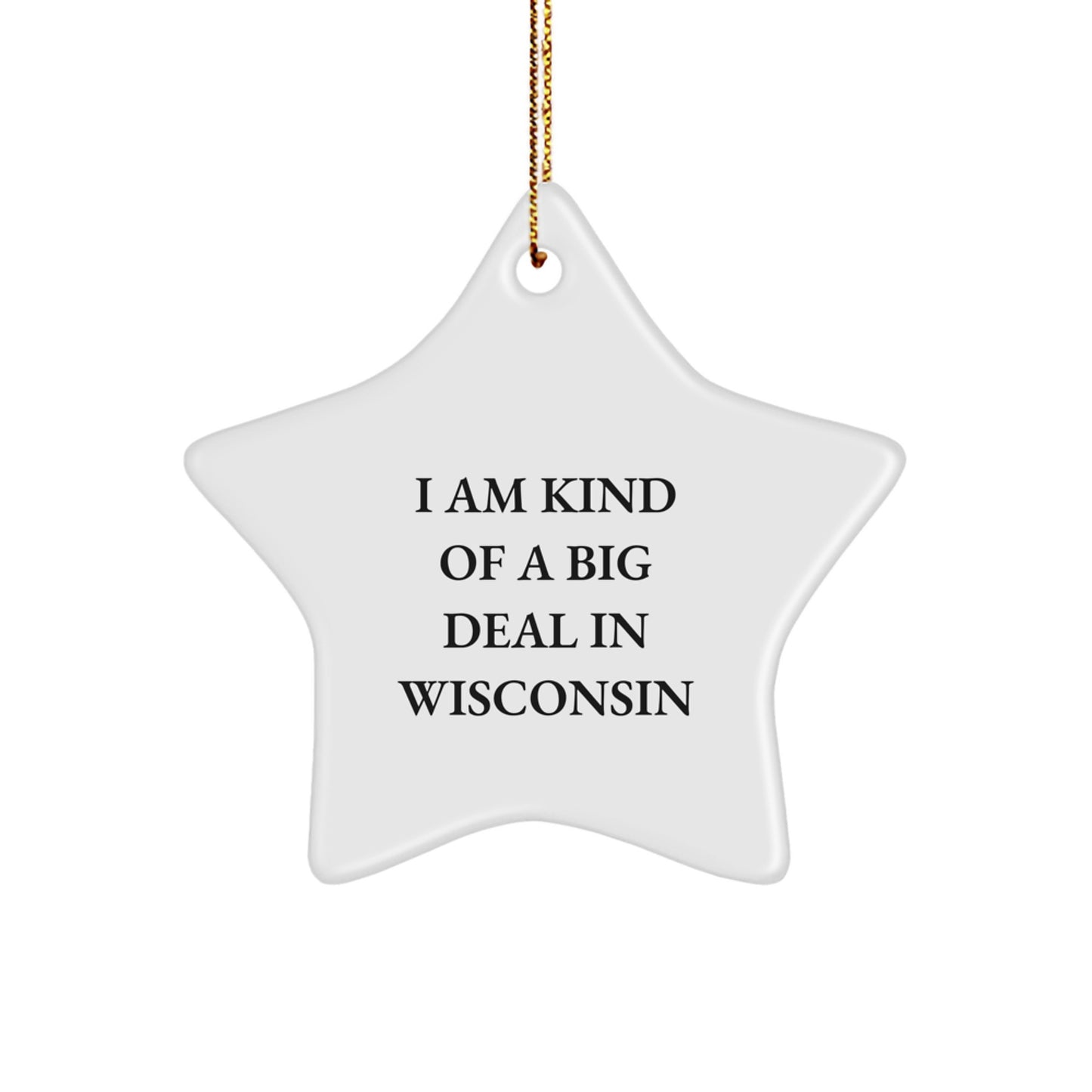 Unique Wisconsin Star Ornament Gifts for Family from I Am Kind Of A Prime Selection In Wisconsin Lover - Image 1