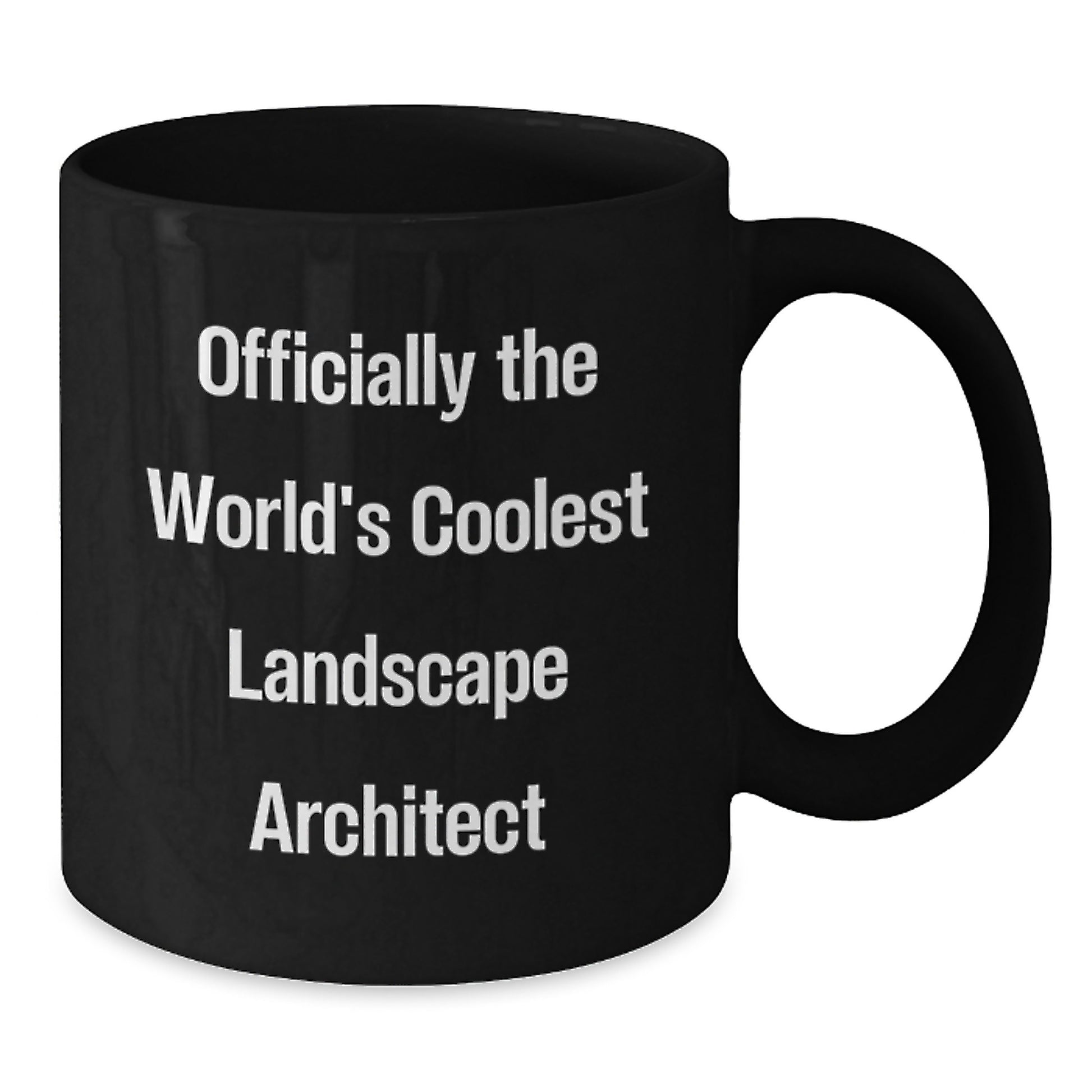 Funny Landscape Architect Quotes Gifts from Friends and Family for Christmas Unique Black Coffee Mugs for Men Women Colleagues - Additional