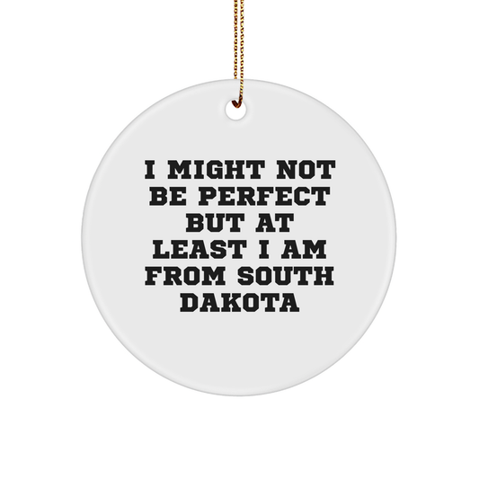 Funny South Dakota Gifts - 'I Might Not Be Perfect' Circle Ornament, Gifts from Men to Friends for Christmas - Image 1