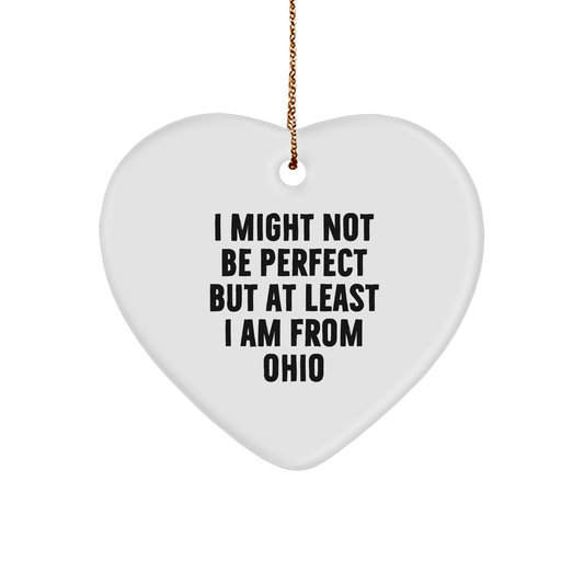 Ohio Gifts from Friends - Funny Heart Ornament 'I Might Not Be Perfect' for Family, Coworkers, or Women from Ohio - Unique Christmas Unique Gifts for Ohio Residents - Image 1