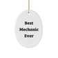 Funny Mechanic Gifts - Best Mechanic Ever Oval Ornament for Men, Women, or Friends - White, Durable, and Vibrantly Printed - Gifts from Family, Coworkers, or Friends for Christmas - Image 1