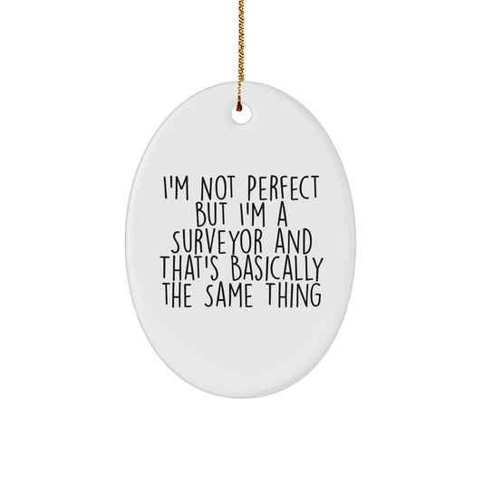 Funny Surveyor Gifts - 'I'm Not Perfect' Oval Ornament for Men, White, 3.25" Tall, Christmas Unique Gifts from Family - Image 1