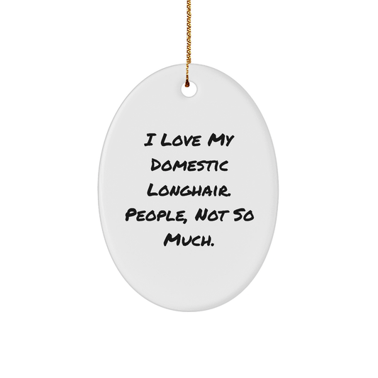 Funny Domestic Longhair Cat Oval Ornament Gifts from Family for Friends, 'I Love My Domestic Longhair. People, Not So Much.' Christmas Unique Gifts - Image 1