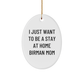 Birman Cat Mom's Gift, Oval Ornament with Funny Quote, Christmas Unique Gifts from Friends and Family to Birman Cat Lovers - Image 1