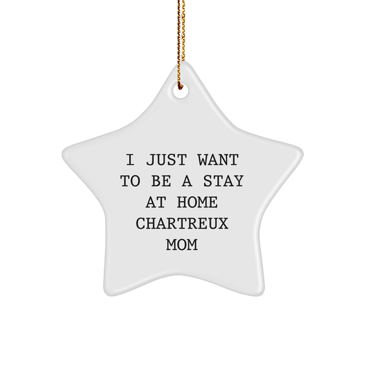 Chartreux Cat Mom's Christmas Unique Gift, Chartreux Cat Star Ornament for Mom, Funny Quote Star Ornament, Chartreux Cat Lover Gifts from - Image 1