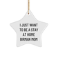 I Just Want To Be A Stay At Home Birman Mom's Star Ornament Gift, Gifts from People Who Love Birman Cats, Gifts for Birman Cat Moms, Handcrafted Star Ornament - Image 1