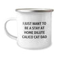 Dilute Calico Cat Dad Gifts, I Just Want To Be A Stay At Home Dilute Calico Cat Dad, Birthday Unique Gifts from Men to Friends - Camping Mug, 12 oz Capacity, Stainless Steel with Enamel Finish - Image 1
