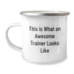 Funny Trainer Gifts from Men, Awesome Trainer Camping Mug for Valentine's Unique Gifts, This Is What An Awesome Trainer Looks Like - Image 1