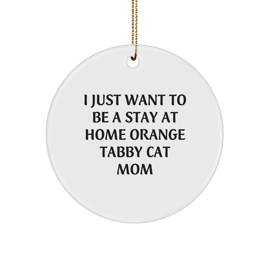 Funny Orange Tabby Cat Mom Gifts from Friends and Family for Orange Tabby Cat Lovers at Christmas Unique Gifts - Image 1