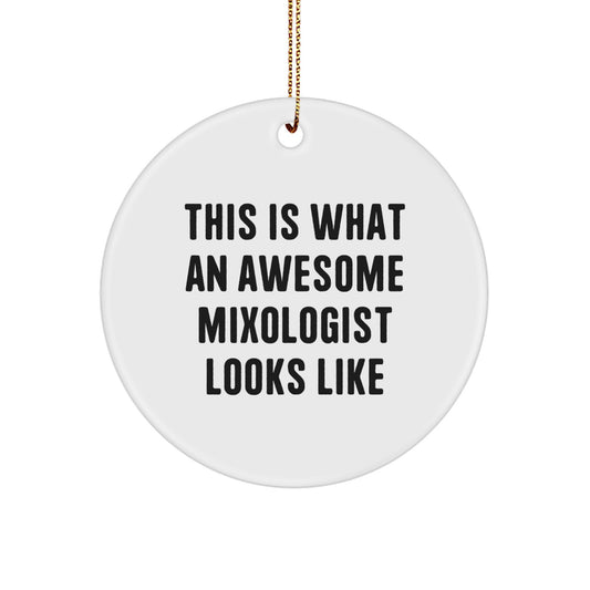 Gifts for Mixologists, Awesome Mixologist Circle Ornament, Funny Quote Christmas Unique Gifts from Friends - Image 1