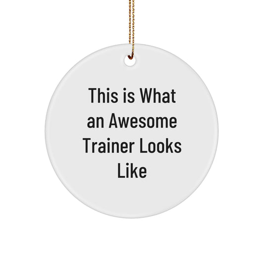 Funny Trainer Gifts from Men to Trainer Friends for Christmas Unique Circle Ornament, This Is What An Awesome Trainer Looks Like - Christmas Circle Ornament Gifts for Trainers - Image 1