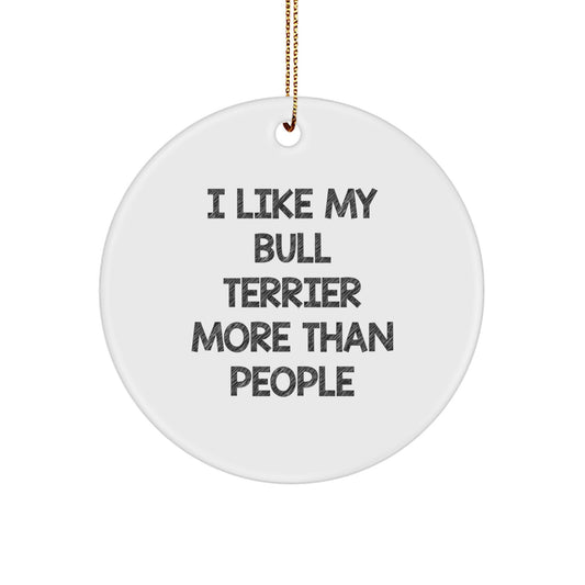 Funny Bull Terrier Dog Gifts from Friends for Men Christmas Unique Ornaments - Image 1