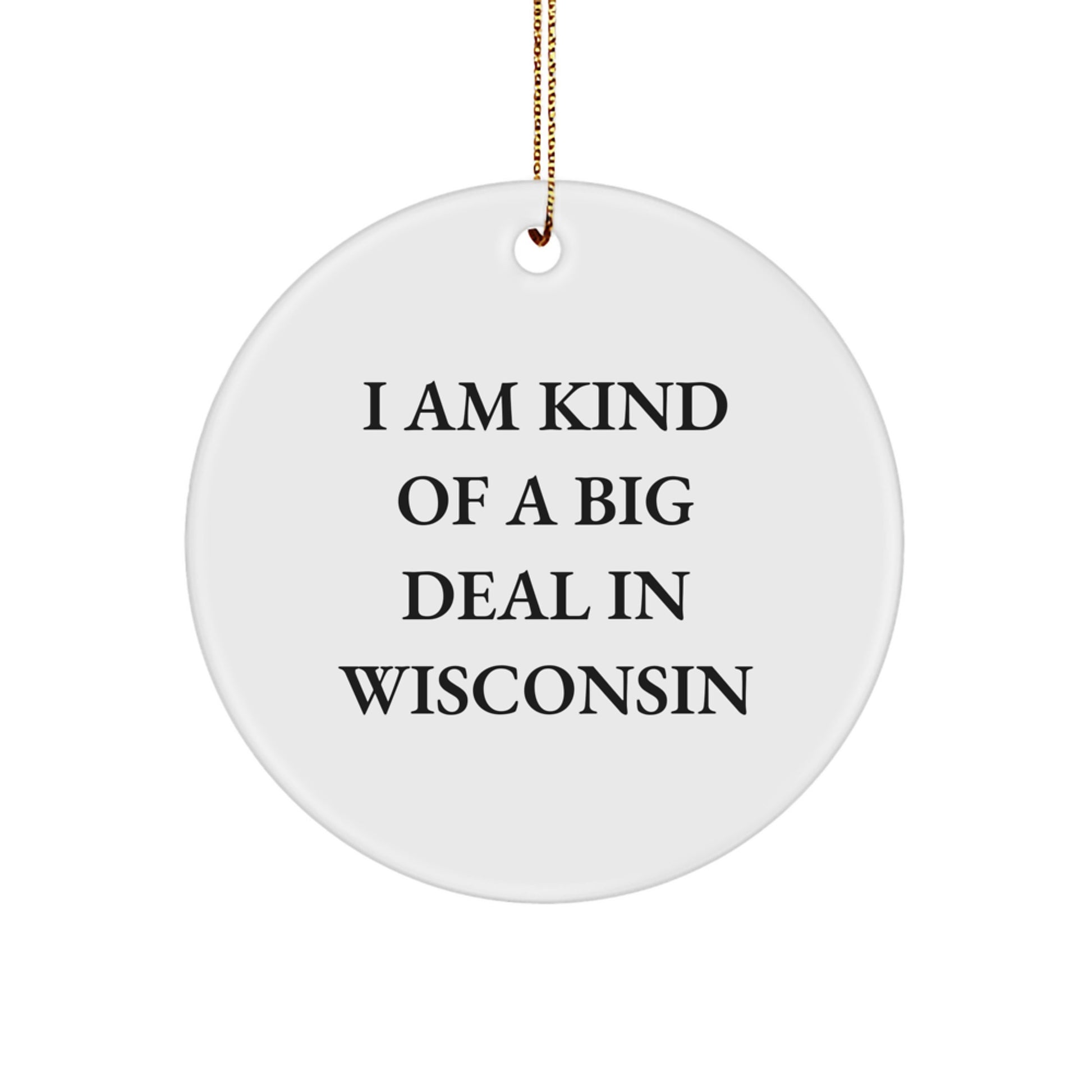 Wisconsin Circle Ornament Funny Quotes Gifts for Men from Wisconsin, Wisconsin Gifts, Christmas Unique Gifts, I Am Kind of a Prime Selection in Wisconsin Circle Ornament - Image 1