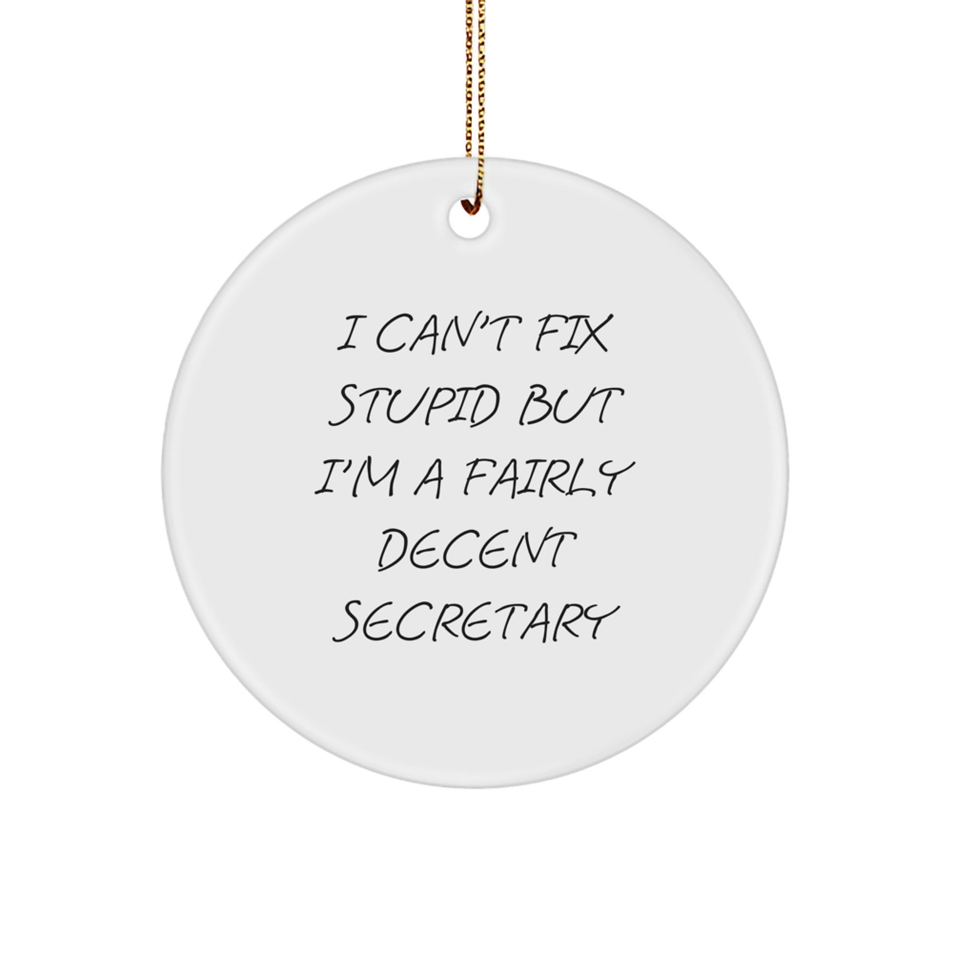 Funny Secretary Christmas Circle Ornament Gifts from Friends for Secretary Humor - Image 1