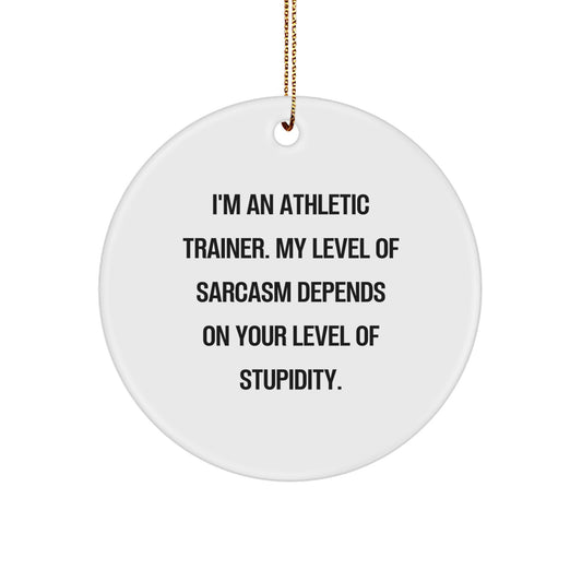 Funny Athletic Trainer Gifts for Men, Women, Friends, and Family - 'I'm An Athletic Trainer' Sarcasm Circle Ornament, Christmas Unique Decorations - Image 1