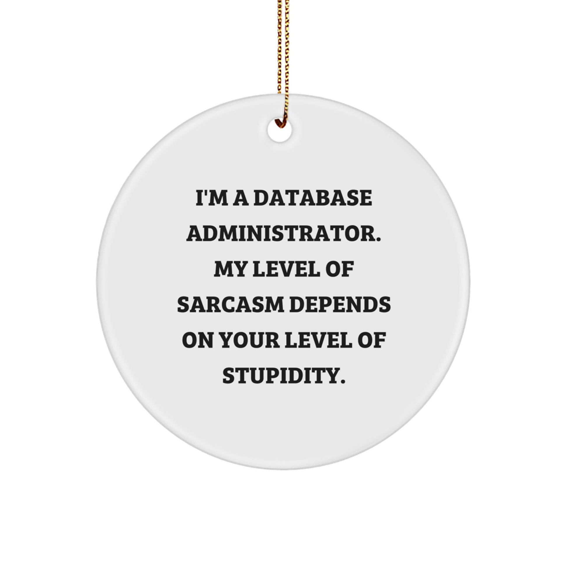 Funny Database Administrator Gifts from Friends for Christmas - Sarcasm Circle Ornament - Image 1