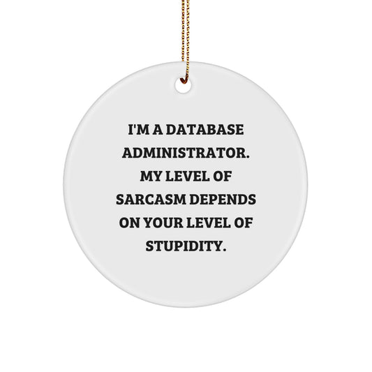 Funny Database Administrator Gifts from Friends for Christmas - Sarcasm Circle Ornament - Image 1