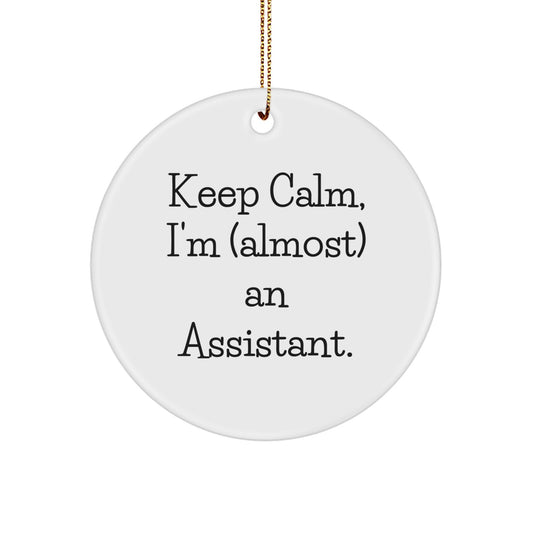 Funny Assistant Gifts, Keep Calm Circle Ornament, Christmas Unique Gifts from Friends to Coworkers - Image 1
