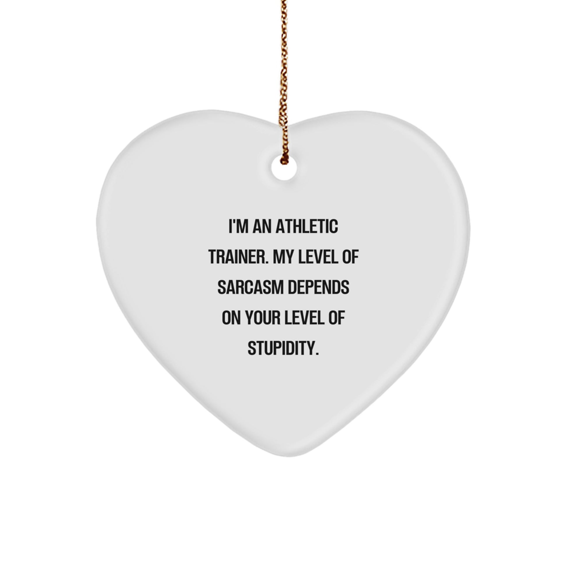 Funny Athletic Trainer Gift Heart Ornament for Christmas Unique Gifts from Friends to Family Members, Inspirational Quote for the Athlete in Your Life - Image 1
