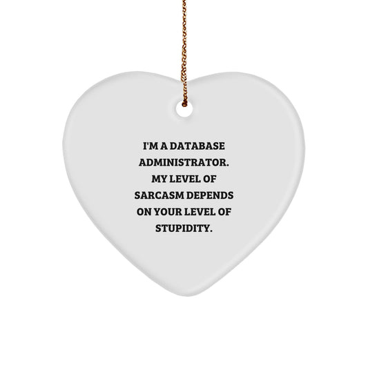 Funny Heart Ornament Gifts from Men to Database Administrator Friends - Image 1