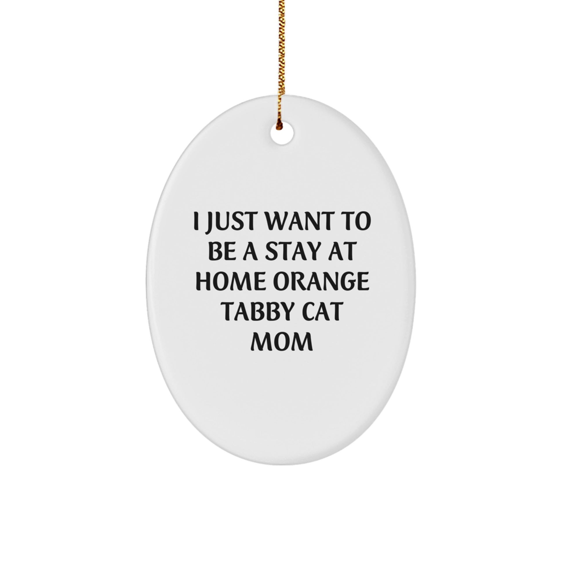 Orange Tabby Cat Oval Ornament Gifts from Family and Friends for Orange Tabby Cat Mom - Funny Christmas Memorable Presents - Image 1