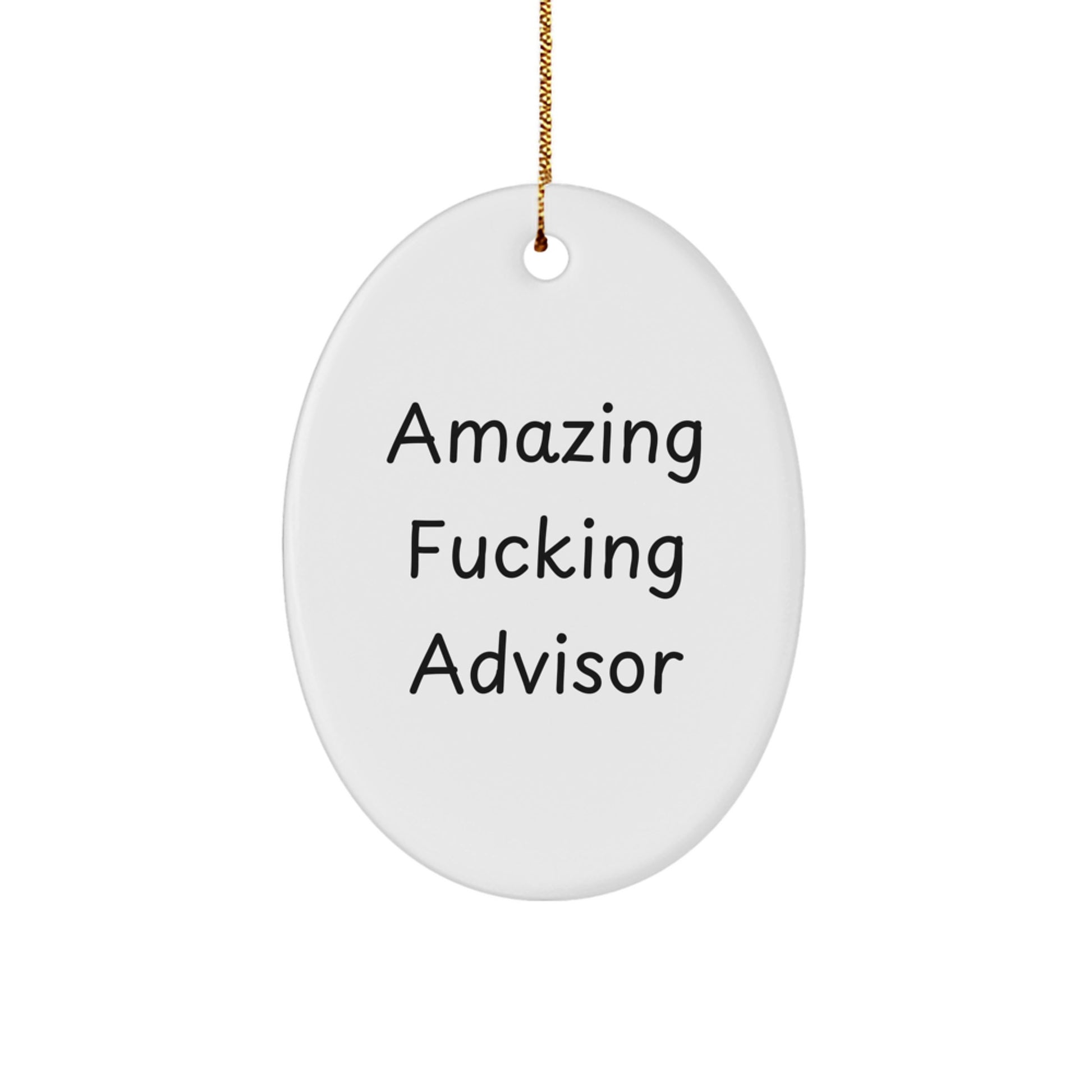Funny Advisor Gifts from Friends, Oval Ornament with Inspirational Quote, Unique Christmas Memorable Present for Advisor Men, Home Decor - Image 1