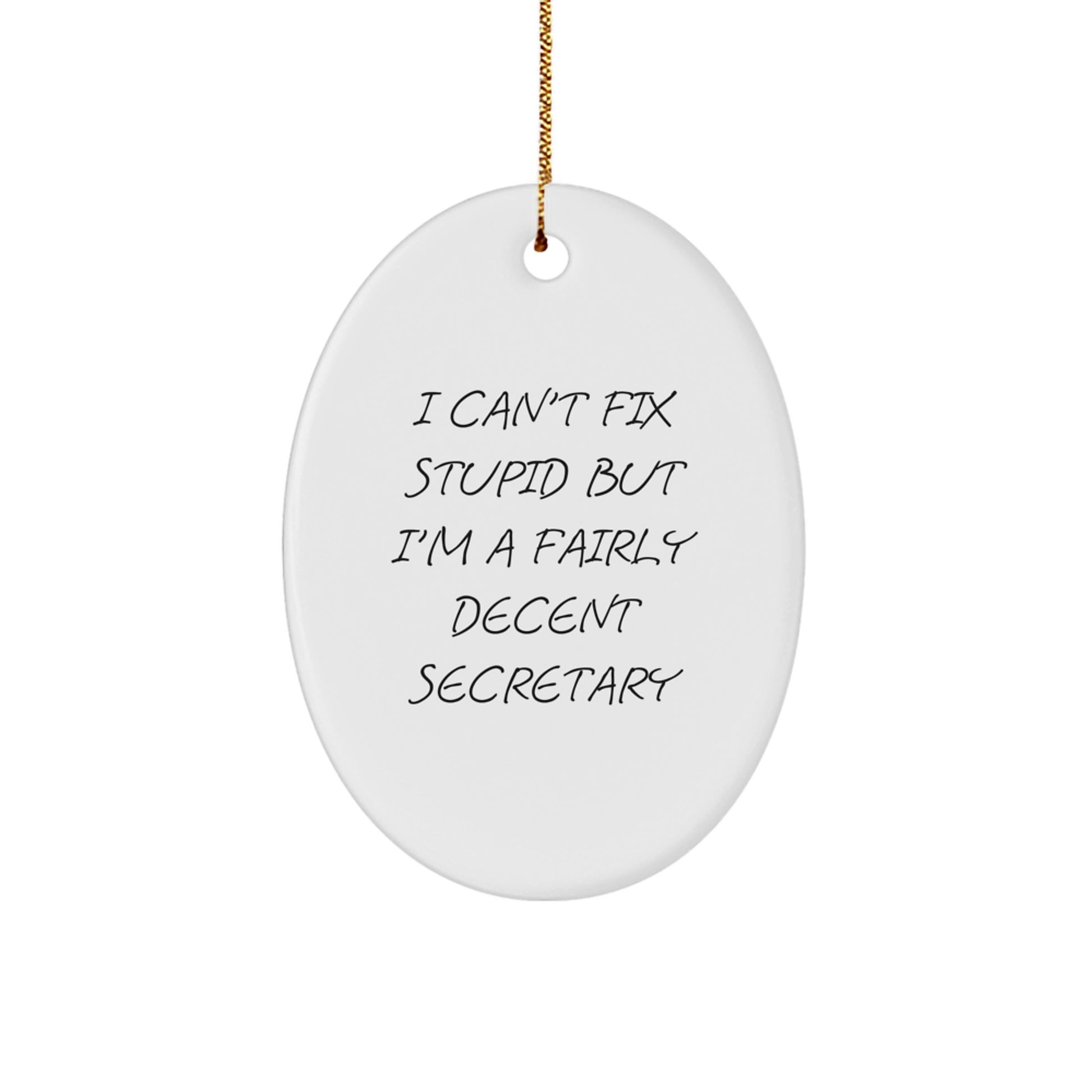 Funny Secretary Oval Ornament Gifts from Men for Women Friends Coworkers, I'm A Decent Secretary, Unique Christmas Unique Gifts - Image 1