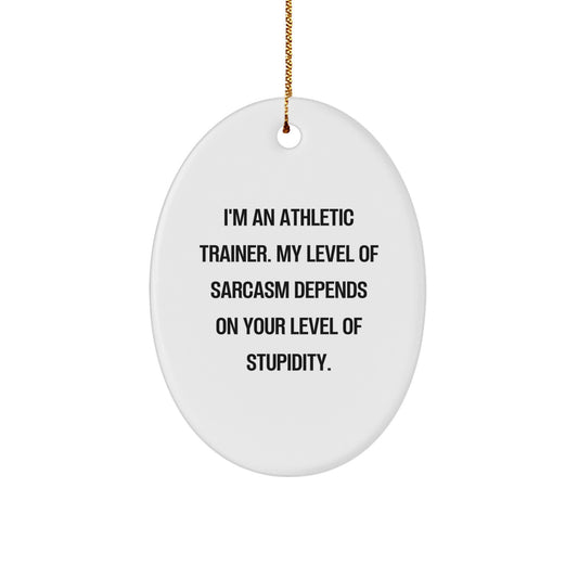 Funny Athletic Trainer Gifts from Friends for Christmas, Oval Ornament, I'm An Athletic Trainer. My Level Of Sarcasm Depends On Your Level Of Stupidity. - Image 1