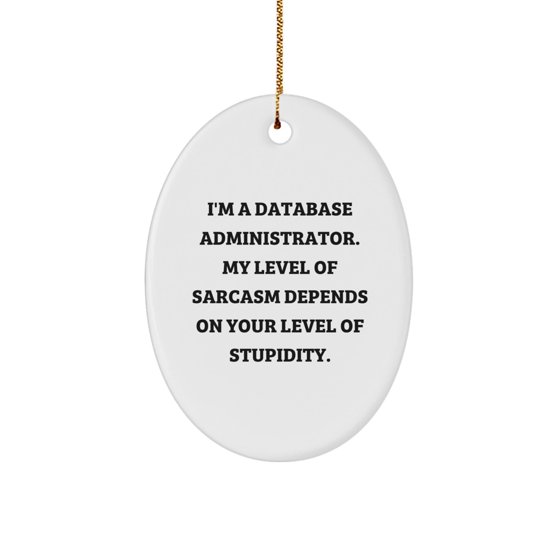 Funny Database Administrator Oval Ornament Gifts from Friends, Christmas Unique Decoration for Database Administrator, Men, Women, Coworkers, Family, and Colleagues - Image 1