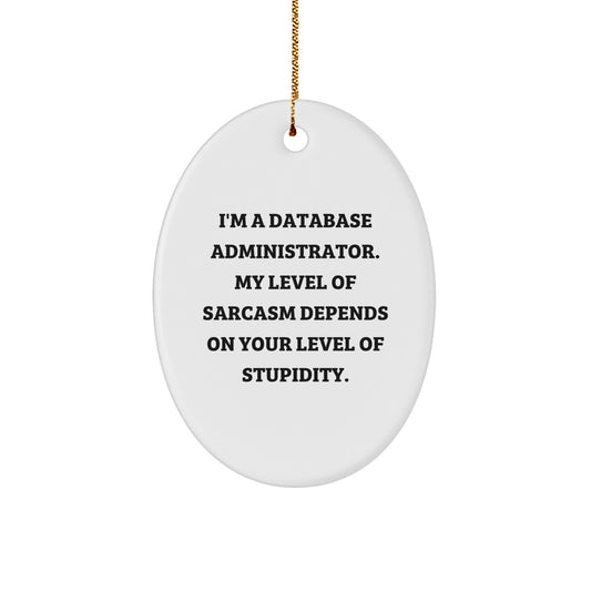 Funny Database Administrator Oval Ornament Gifts from Friends, Christmas Unique Decoration for Database Administrator, Men, Women, Coworkers, Family, and Colleagues - Image 1