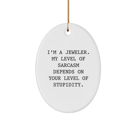 Funny Jeweler Gifts from Friends for Men Oval Ornament Christmas Unique Decorations, Sarcasm Level Depends on Your Level of Stupidity - Image 1