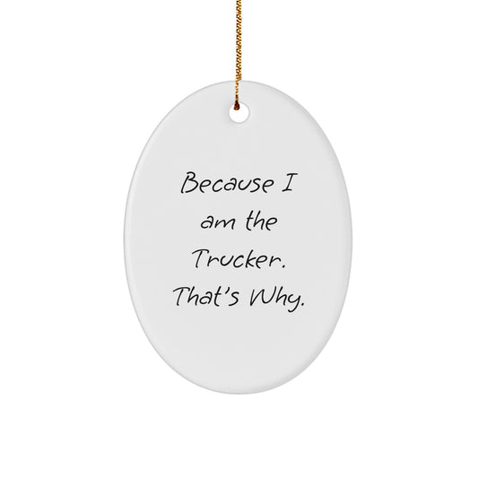 Trucker Oval Ornament Gifts from Men for Trucker Because I Am The Trucker. That's Why. Christmas Decor - Image 1