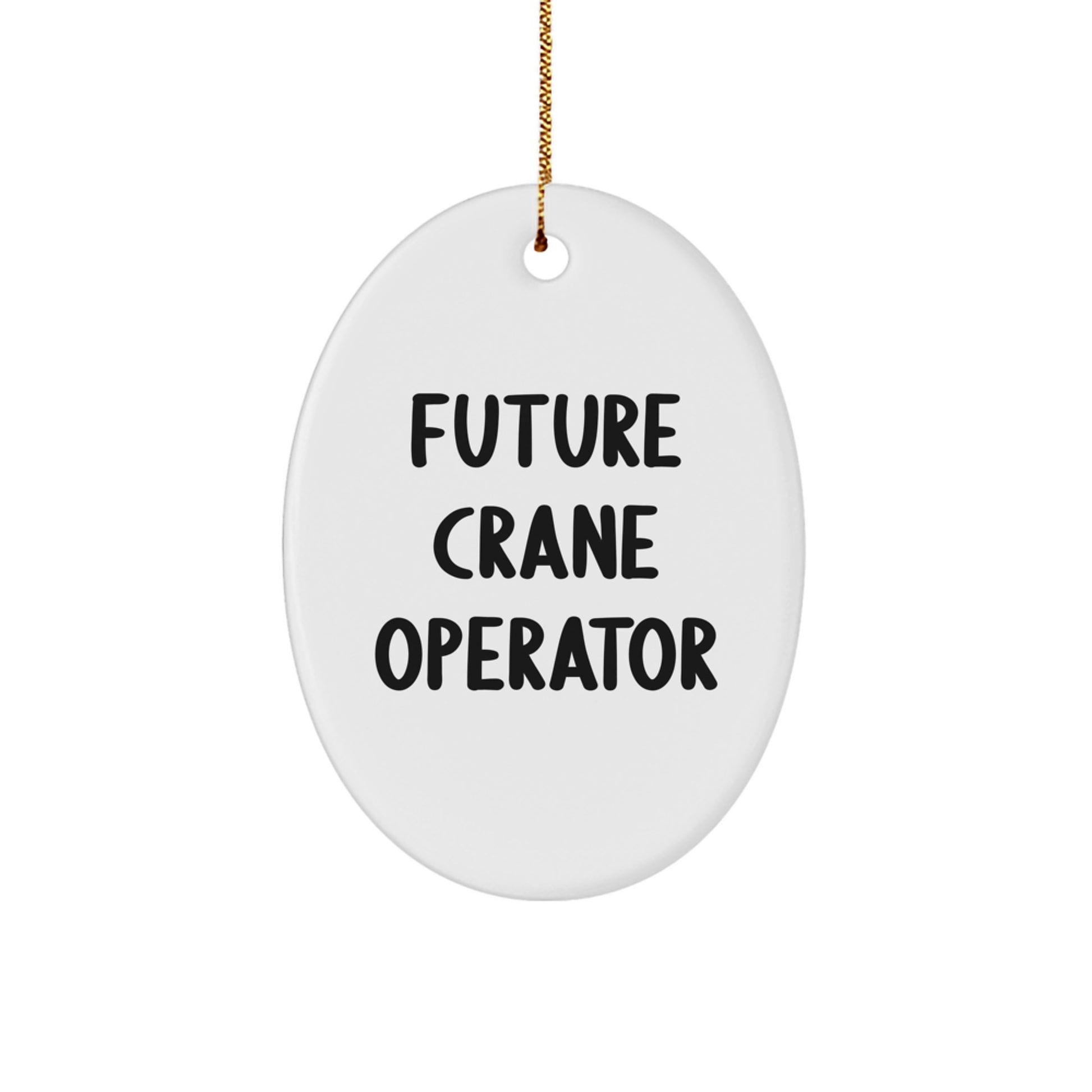 Funny Future Crane Operator Gifts for Men, Crane Operator Christmas Unique Gifts from Friends, Oval Ornament Quote Decoration - Image 1