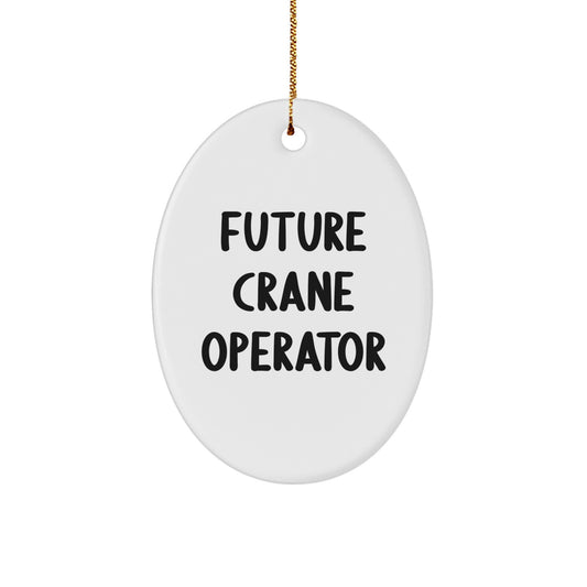 Funny Future Crane Operator Gifts for Men, Crane Operator Christmas Unique Gifts from Friends, Oval Ornament Quote Decoration - Image 1