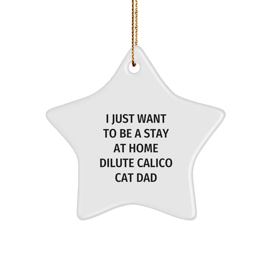 Dilute Calico Cat Dad Gifts, Funny Quote Star Ornament for Christmas, Gifts from Men to Dilute Calico Cat Lovers, Dilute Calico Cat Gifts, Star Ornament - Image 1
