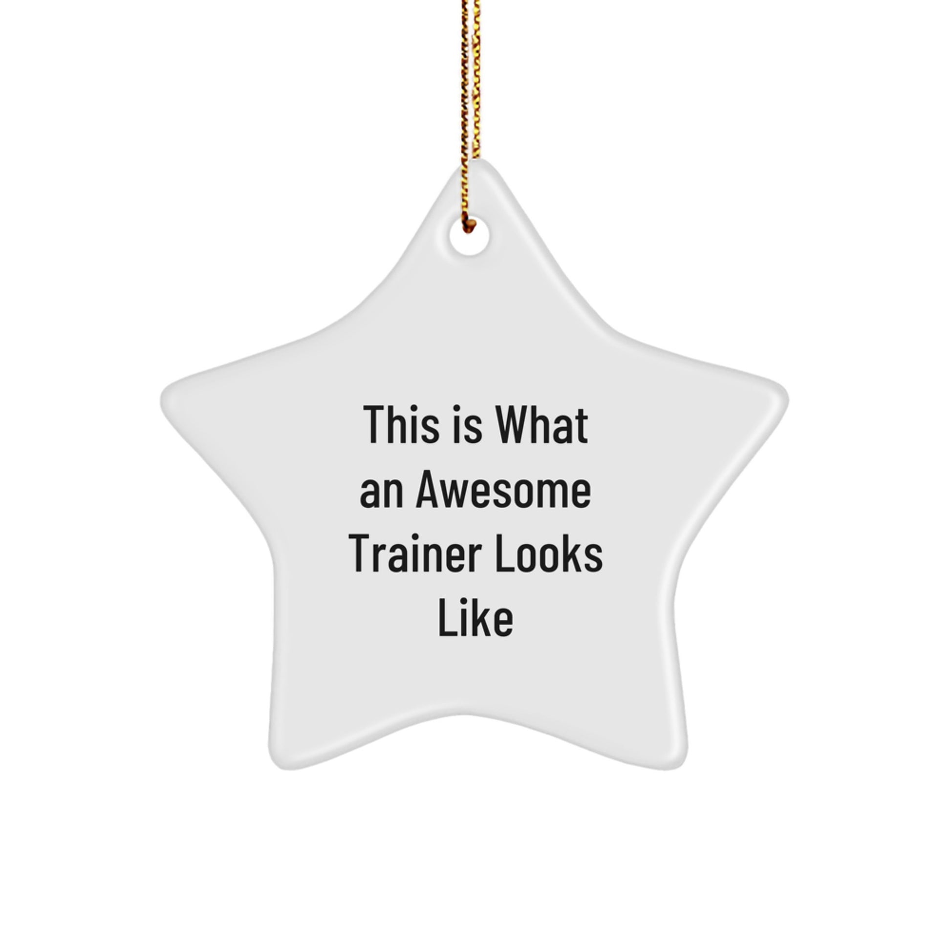 Funny Trainer Star Ornament - Gifts from Friends and Family for Men and Women - Trainer Gifts for Christmas Unique - Image 1