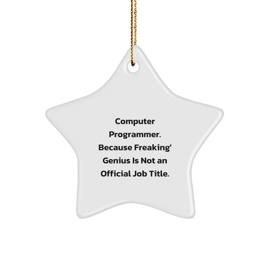Gifts from Friends for Computer Programmer, Funny Star Ornament for Christmas Unique Gifts, Computer Programmer Star Decoration - Image 1