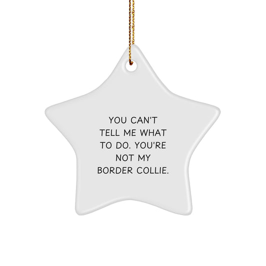 Funny Border Collie Dog Gifts for Home - Christmas Star Ornament with 'You Can't Tell Me What To Do. You're Not My Border Collie.' Quote, Gifts from Family to Friends - Image 1