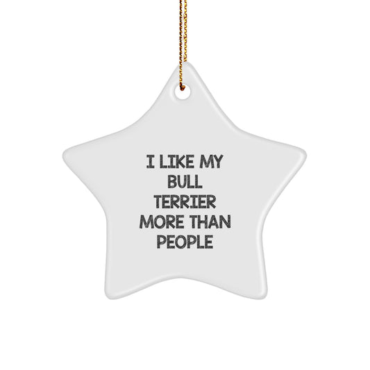 Funny Bull Terrier Dog Gifts from Friends - Star Ornament for Bull Terrier Dog Owners, Christmas Unique Gifts - Image 1