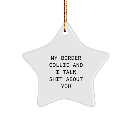 Funny Border Collie Dog Gifts, My Border Collie And I Talk Shit About You Star Ornament for Christmas Unique Gifts from Best Friends - Image 1