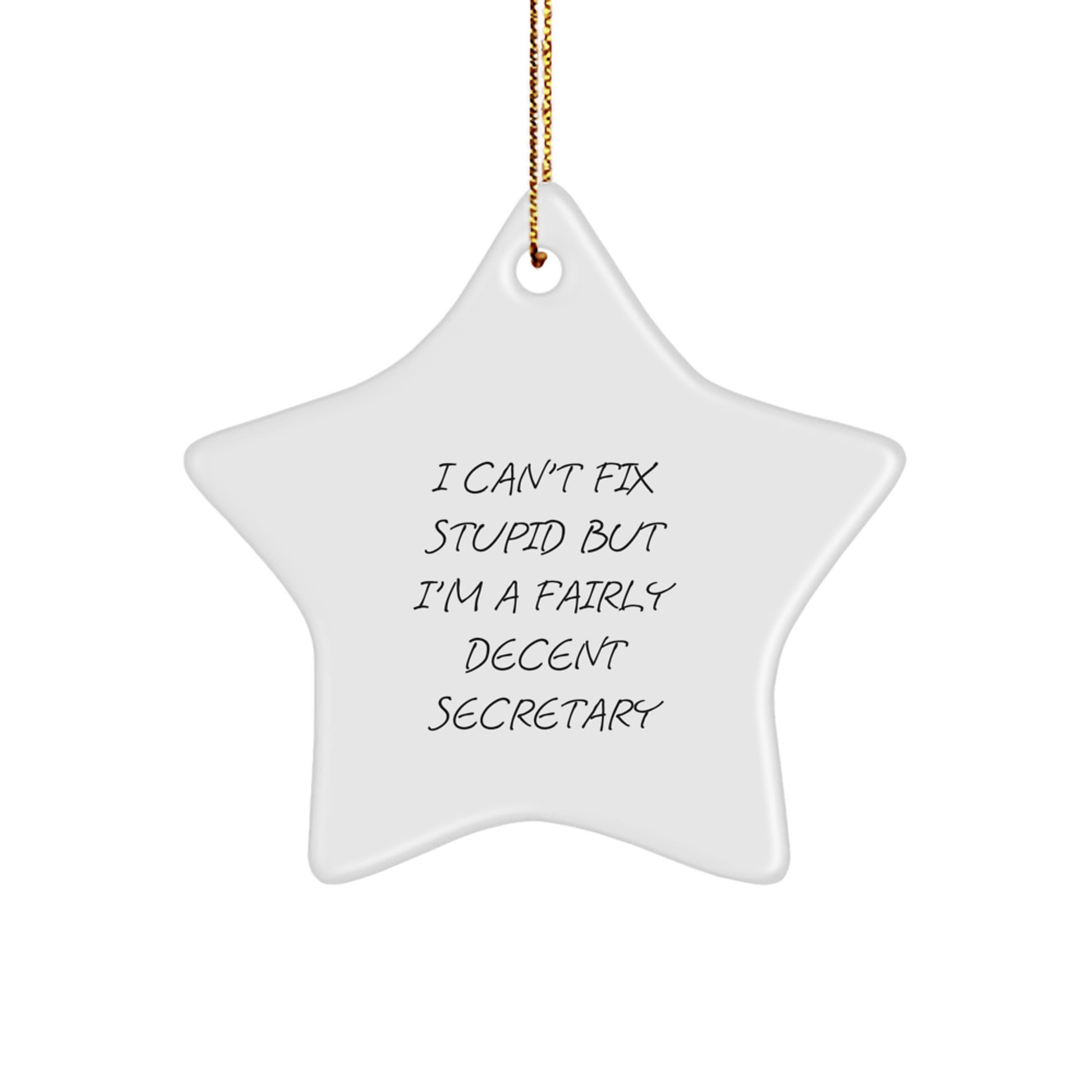Funny Secretary Gift I Can't Fix Stupid But I'm A Fairly Decent Secretary Star Ornament for Christmas Unique Gifts from Friends to Family - Image 1